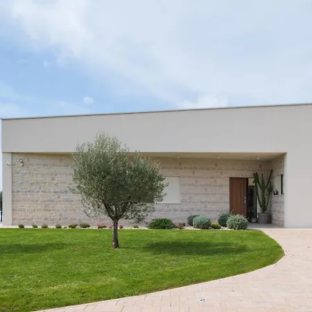 Olive Grove Zadarvillas Villa